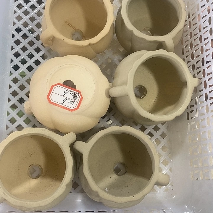 花盆抢购清货马上开始