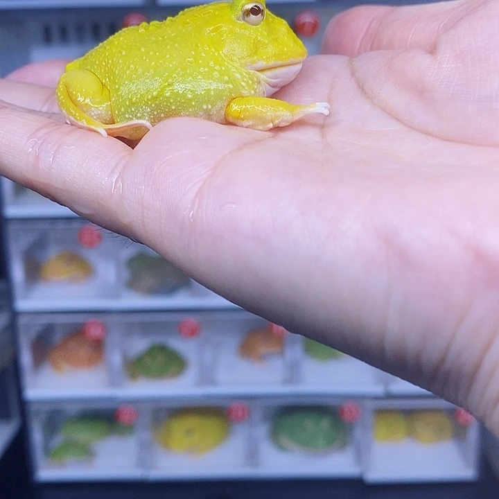 特价促销价格哇哇