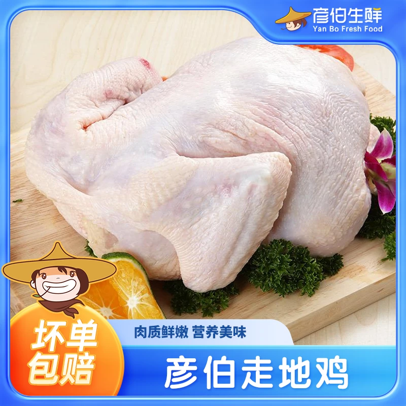 彦伯山东农家走地鸡700-750g/只净膛 公母随机发肉质鲜嫩食材