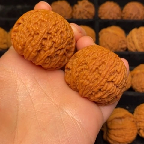 文玩核桃把件秦岭山脉核桃