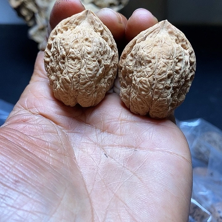 把件文玩核桃云南铁核桃基地70
