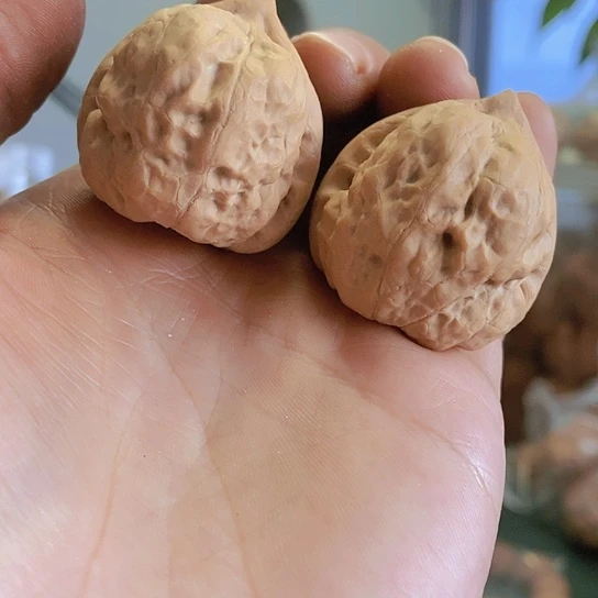 【闪购商品】把件文玩核桃36古蝉