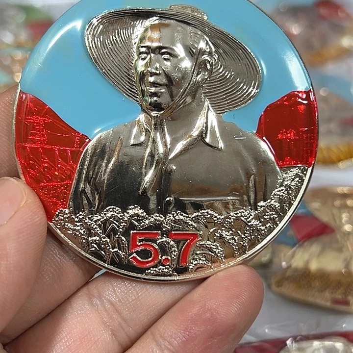 其他普通金属大**屋纪念章