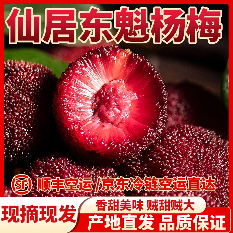 明日必达【仙居东魁露天杨梅】买三斤送三斤氮气包装更锁鲜新鲜大果现摘现发杨梅同城送浙江省