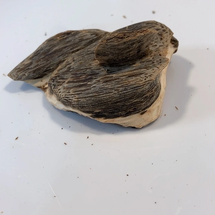 沉香碎屑沉香奇楠虎斑棋8.5克多样性发一