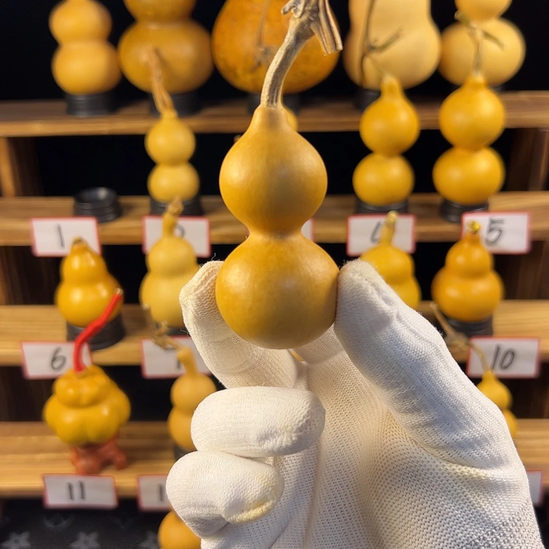 绵***将葫芦葫芦葫芦葫芦