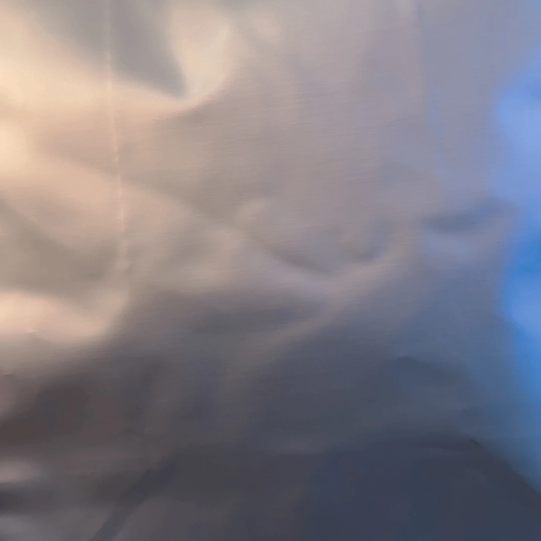 高货滑竹梁子白茶100g闪拍