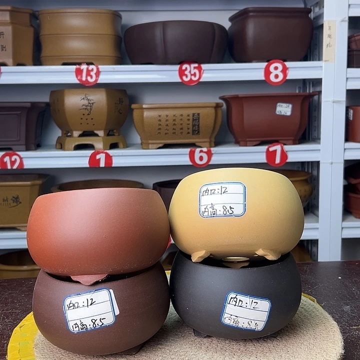 紫砂花盆蛇年大吉