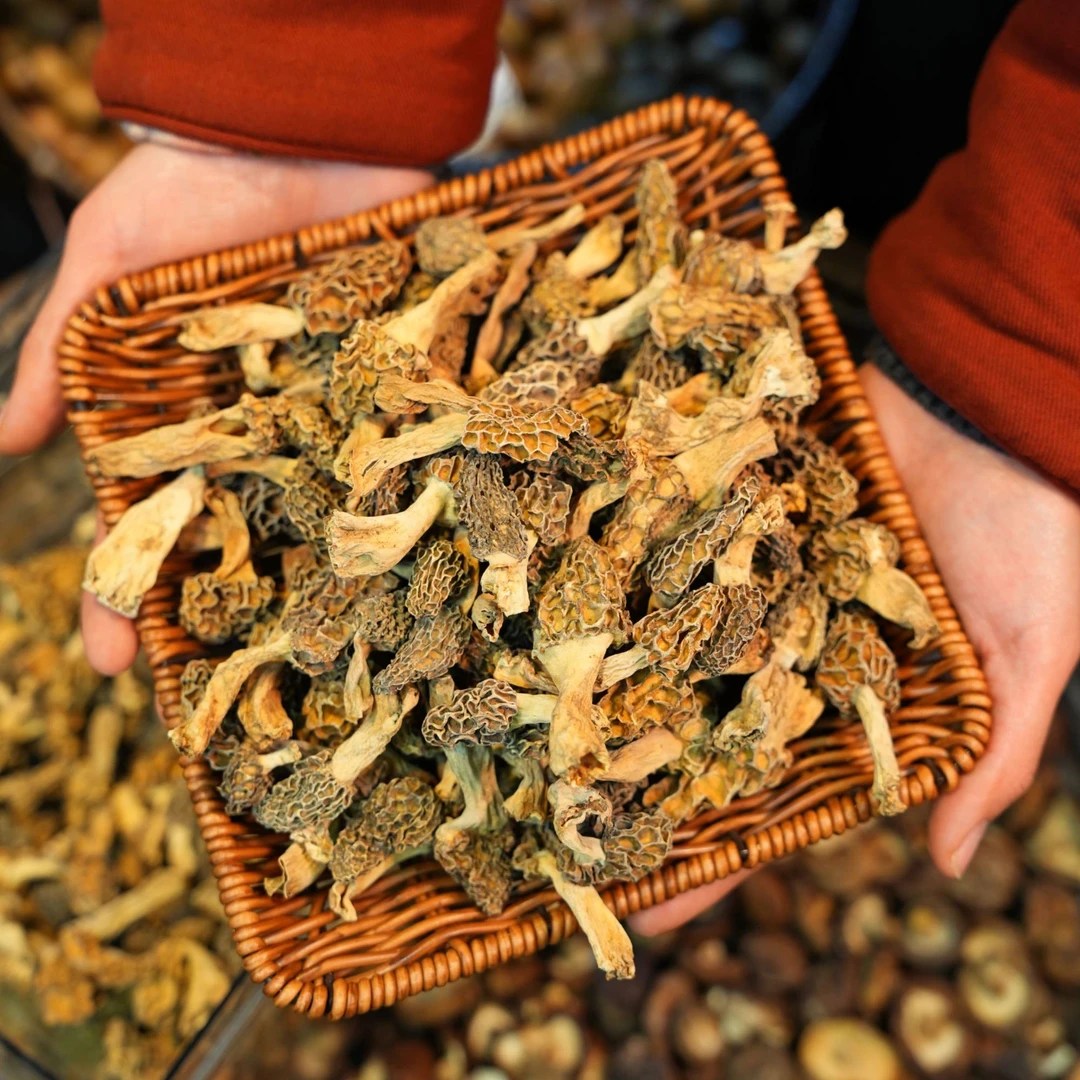 城口高山野生羊肚菌干货