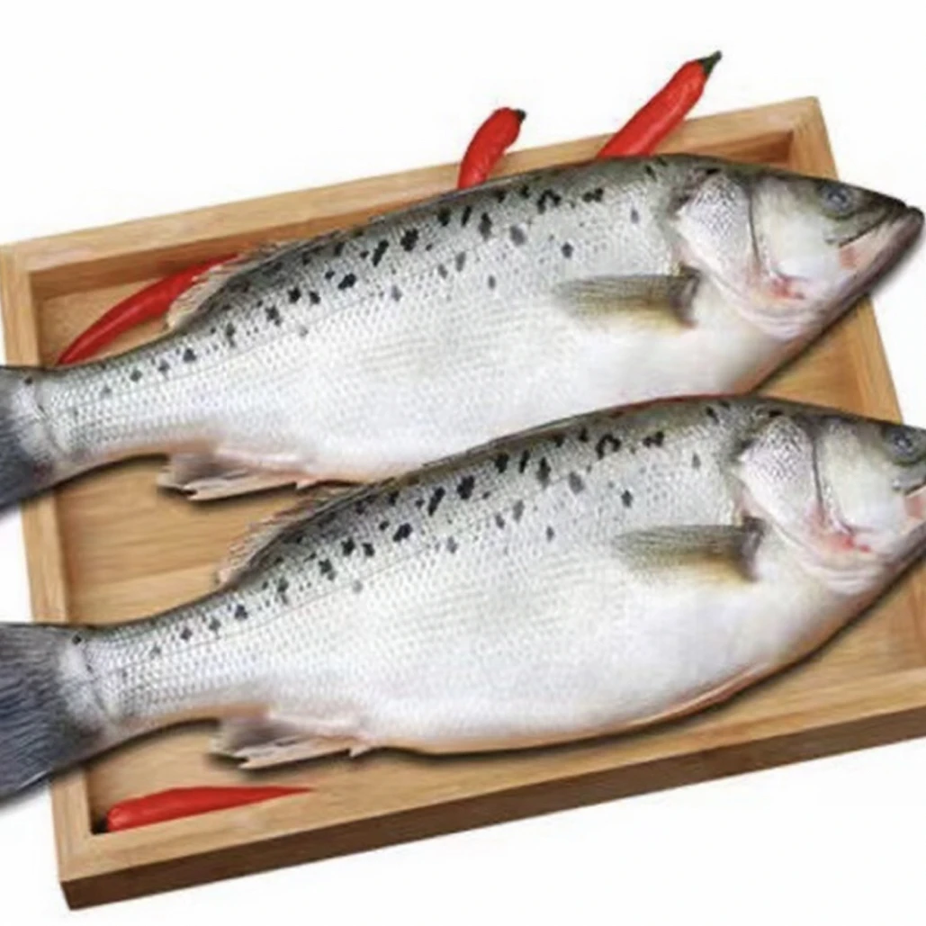 精选深海捕捞新鲜大鲈鱼黄鱼可混搭发货肉质细腻鲜嫩多汁清蒸