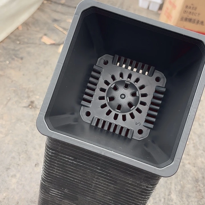 13公分黑方盆高10公分12个