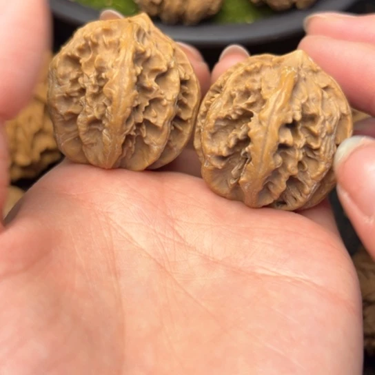 文玩核桃吊坠秦岭核桃15