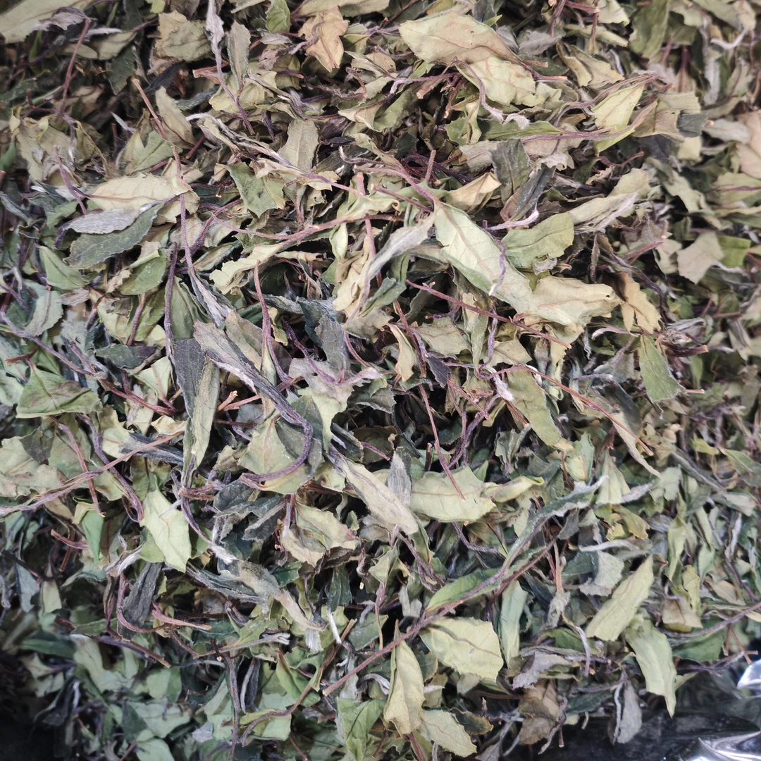 <特品贡眉>2022贡眉百年老树特色茶礼口感甘爽甜度高