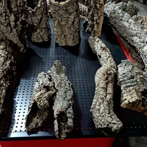 致***檬一物一拍一物一发