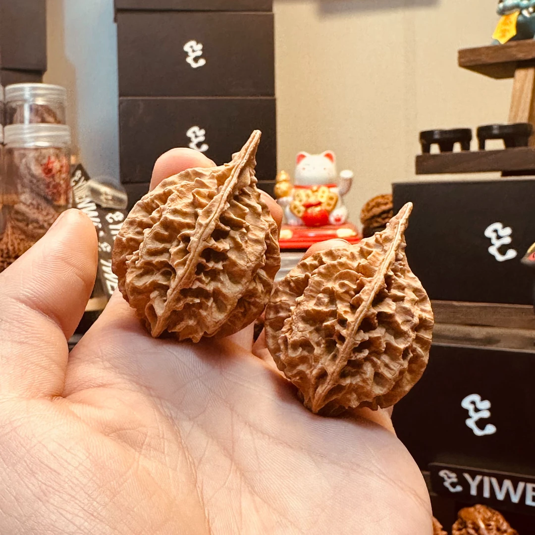 【鸭嘴龙骨】龙脊文玩核桃小e工作室楸子文玩核桃