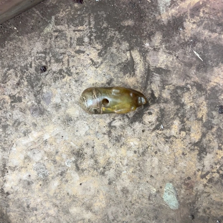 常***松和田玉（黄玉）未镶嵌挂件