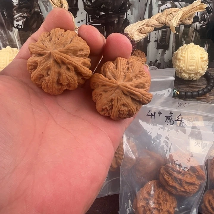 核桃大粗筋43尺寸