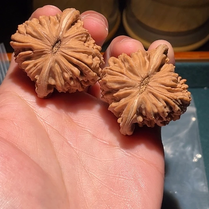 文玩核桃把件不****542尺楼子毕业对