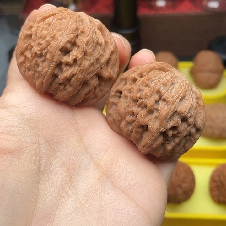 肉球磨42全品红皮