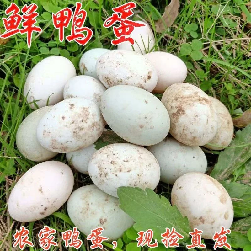 20枚一整箱土鸭蛋农家现捡新鲜散养绿壳绿壳红心笨鸭蛋可腌制食用