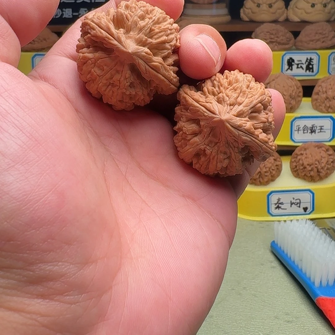 把件文玩核桃蚂蚁王39.5全品47.2克