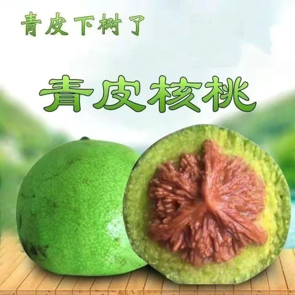 G涞水麻核桃青皮（盘山公子帽）不退不换