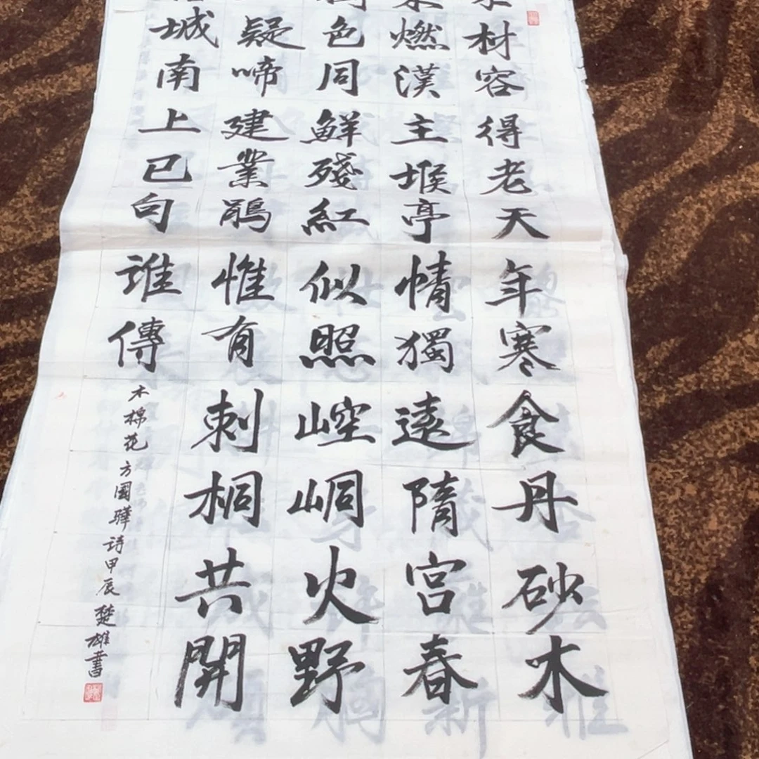 国画李楚雄老师四尺书法