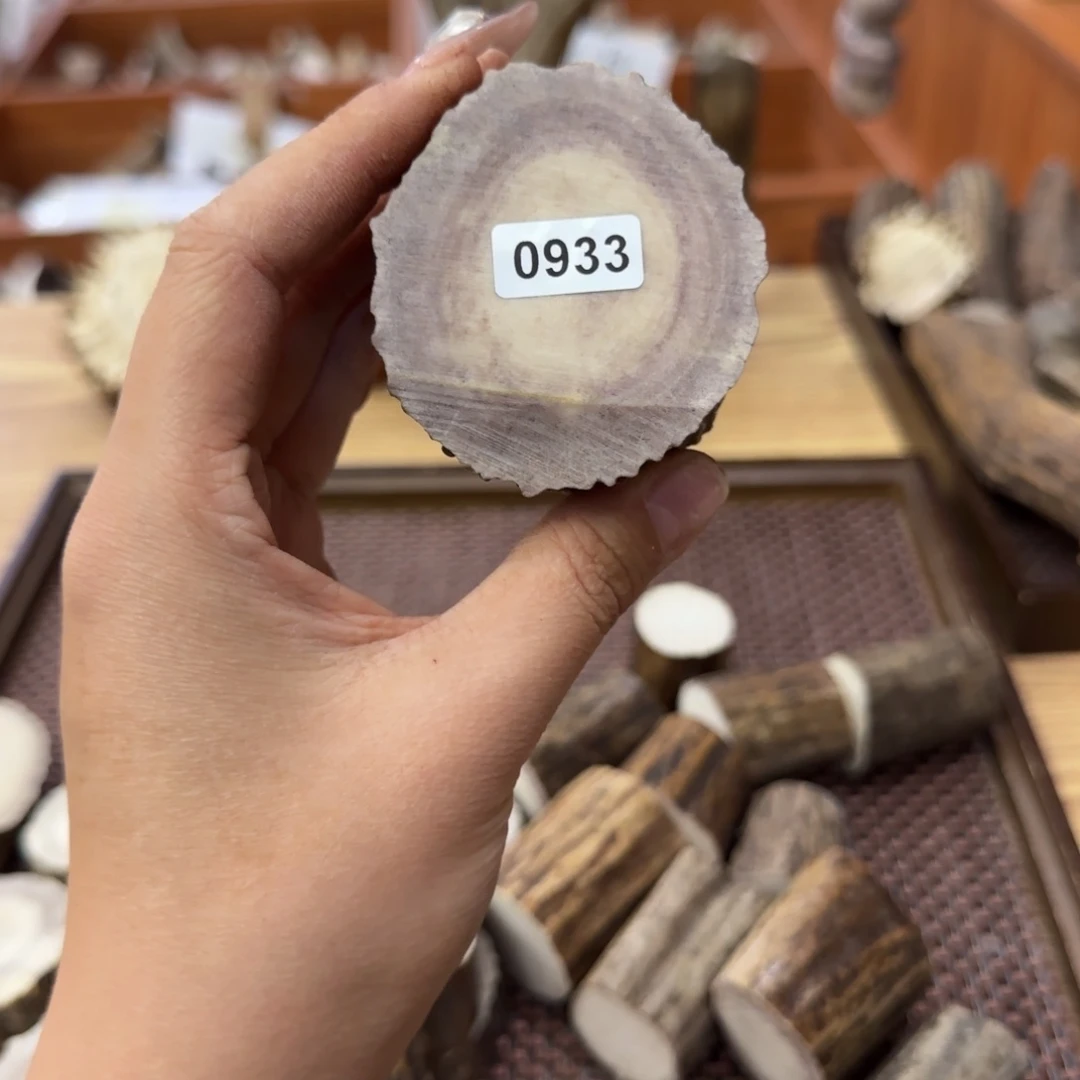 鹿骨其他0933根断