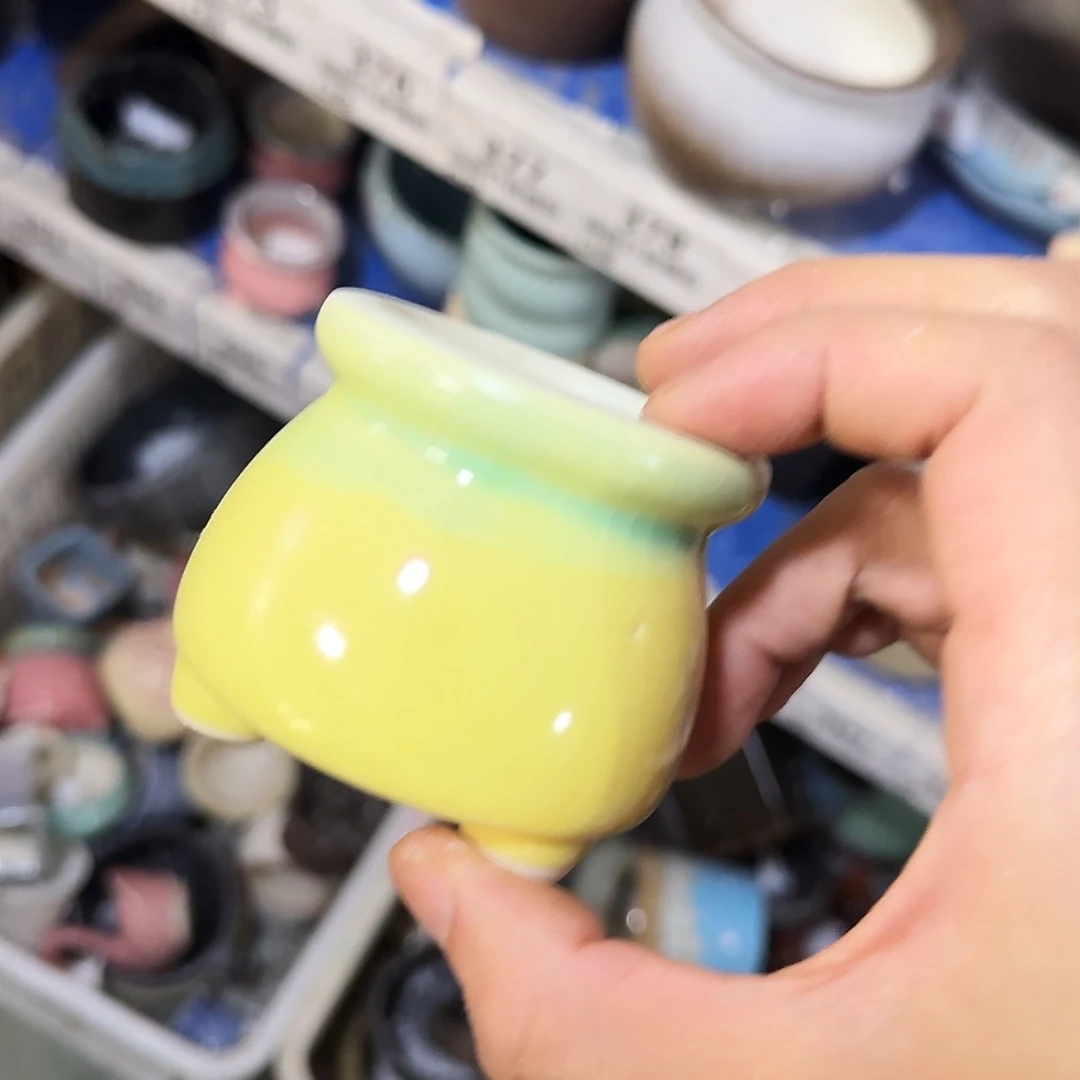 福利局绿植多肉盆［凑9元包邮24小时发］21