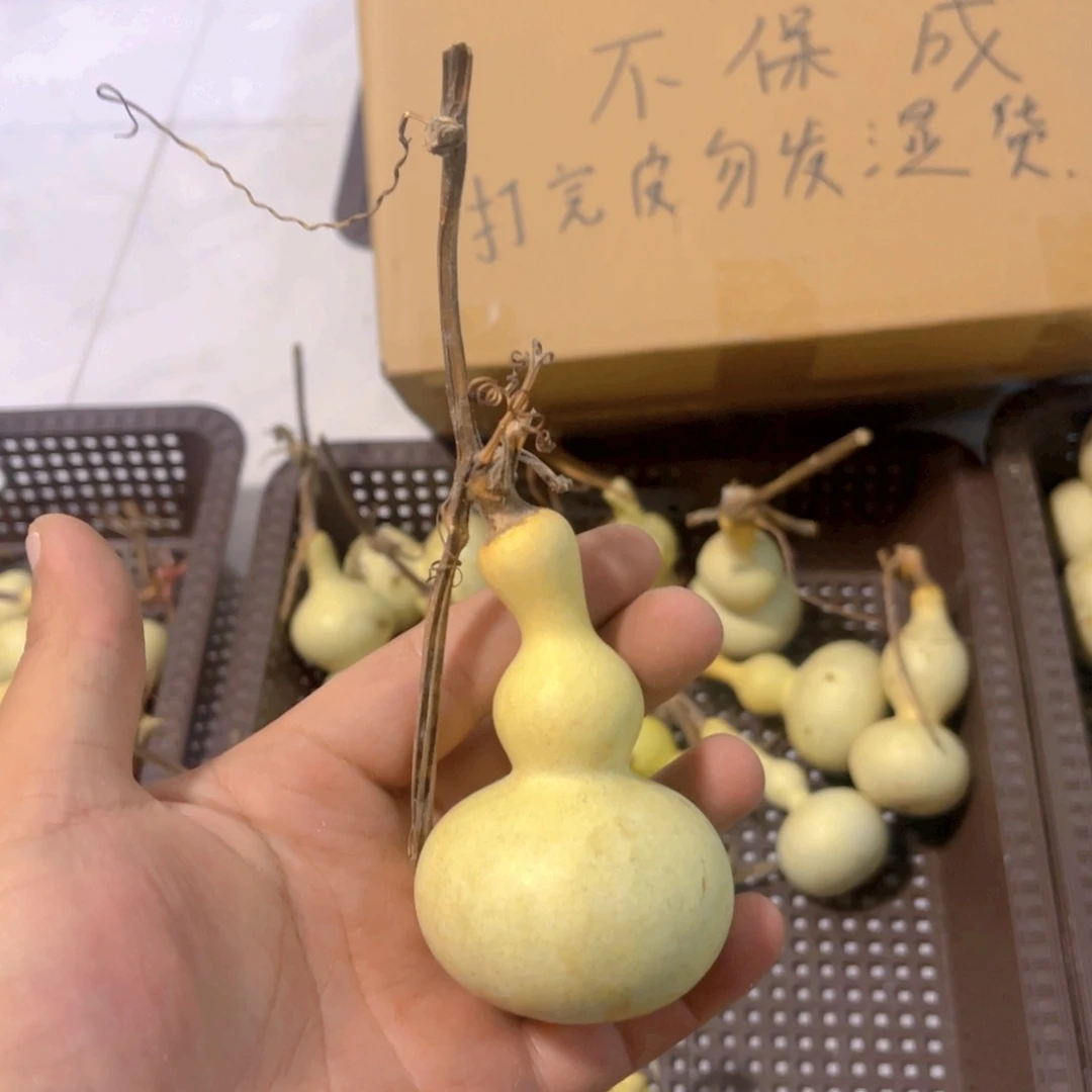 *****感谢大哥支持兄弟，不保成