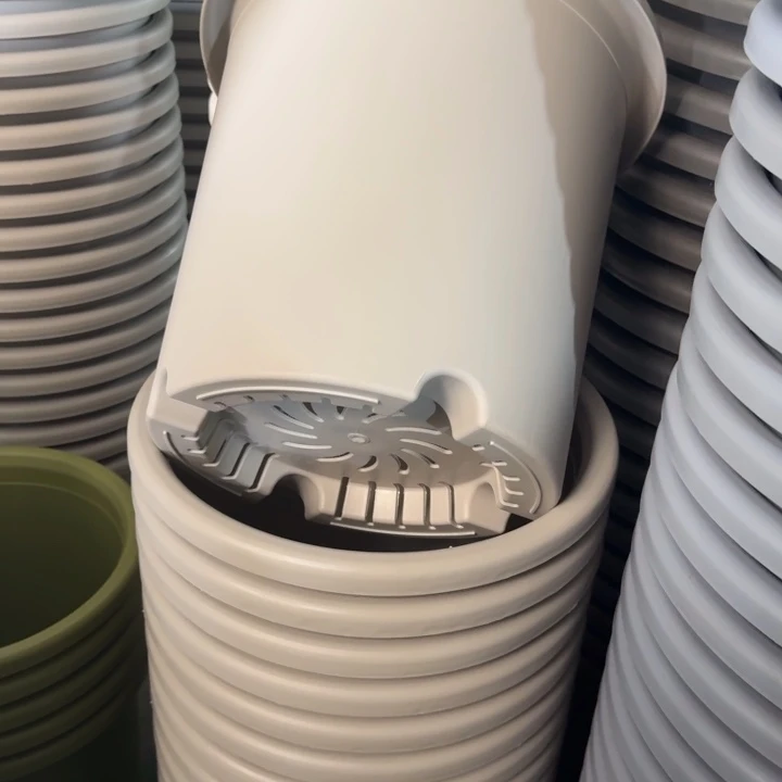 四季8号灰白无托5个特价微瑕