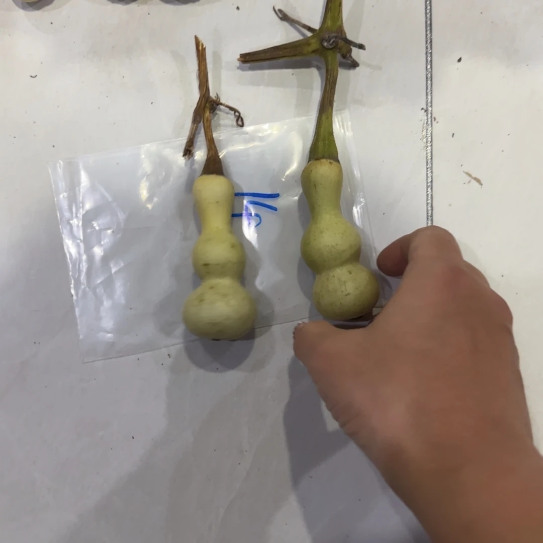 甲***丁青山小区等我一下好的谢谢您谢谢