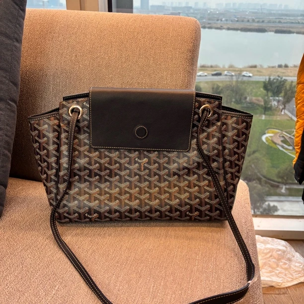 99新 Goyard GOYARD Rouette 老花满印翻盖开合单肩/香菜奢品