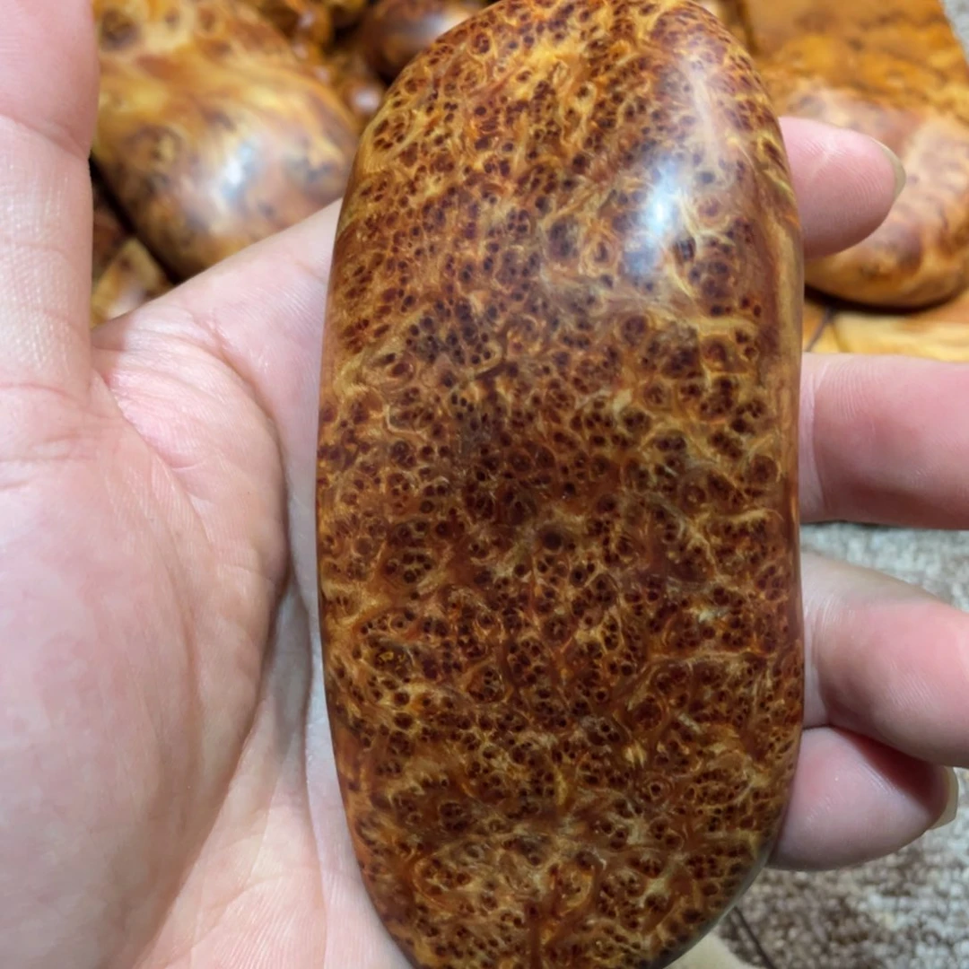 柏木（崖柏）其他把