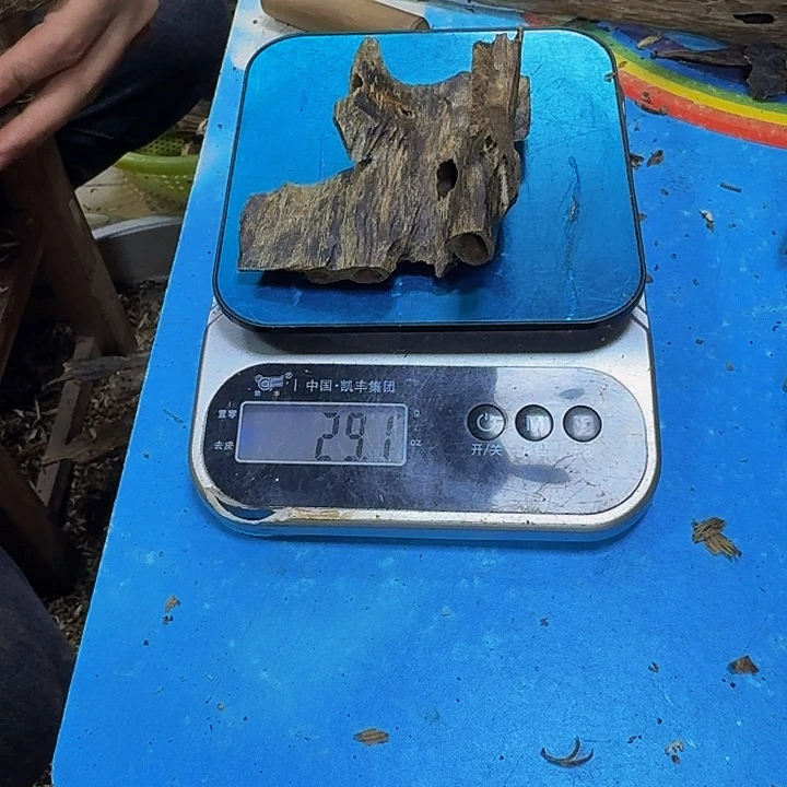 沉香沉香碎屑伤**影陆河29克