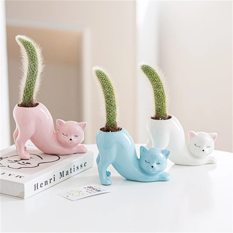 开花九尾狐多肉植物高档盆栽仙人掌长毛软毛尾巴办公室防辐射