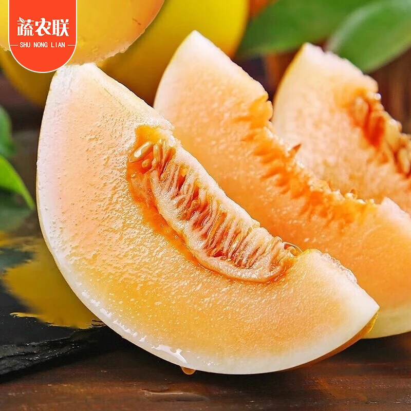 【顺丰送货上门】 甄选正宗甘肃民勤沙漠蜜瓜现摘现发坏果包赔