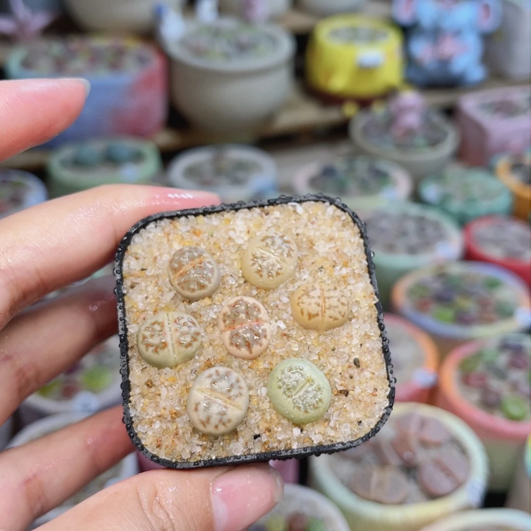 292。888888888888888