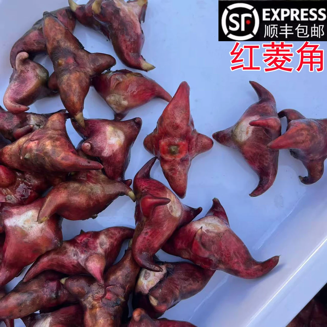 安徽无为特产新鲜老菱角 四角菱角老嫩都有现摘3斤起包邮