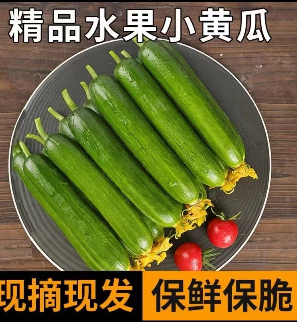 山东寿光新鲜无刺水果小黄瓜现摘即食脆嫩清甜多汁