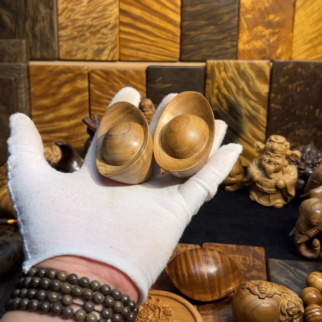 未***期金丝楠小叶桢楠元宝