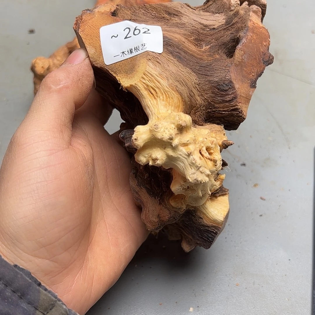 4***c无花朵         262