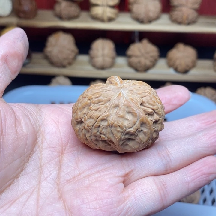 ****⁺文玩核桃把件文玩