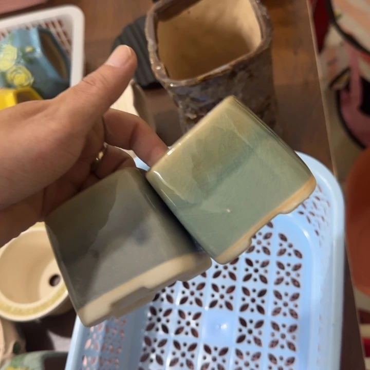 凑满9.9包邮花盆花盆