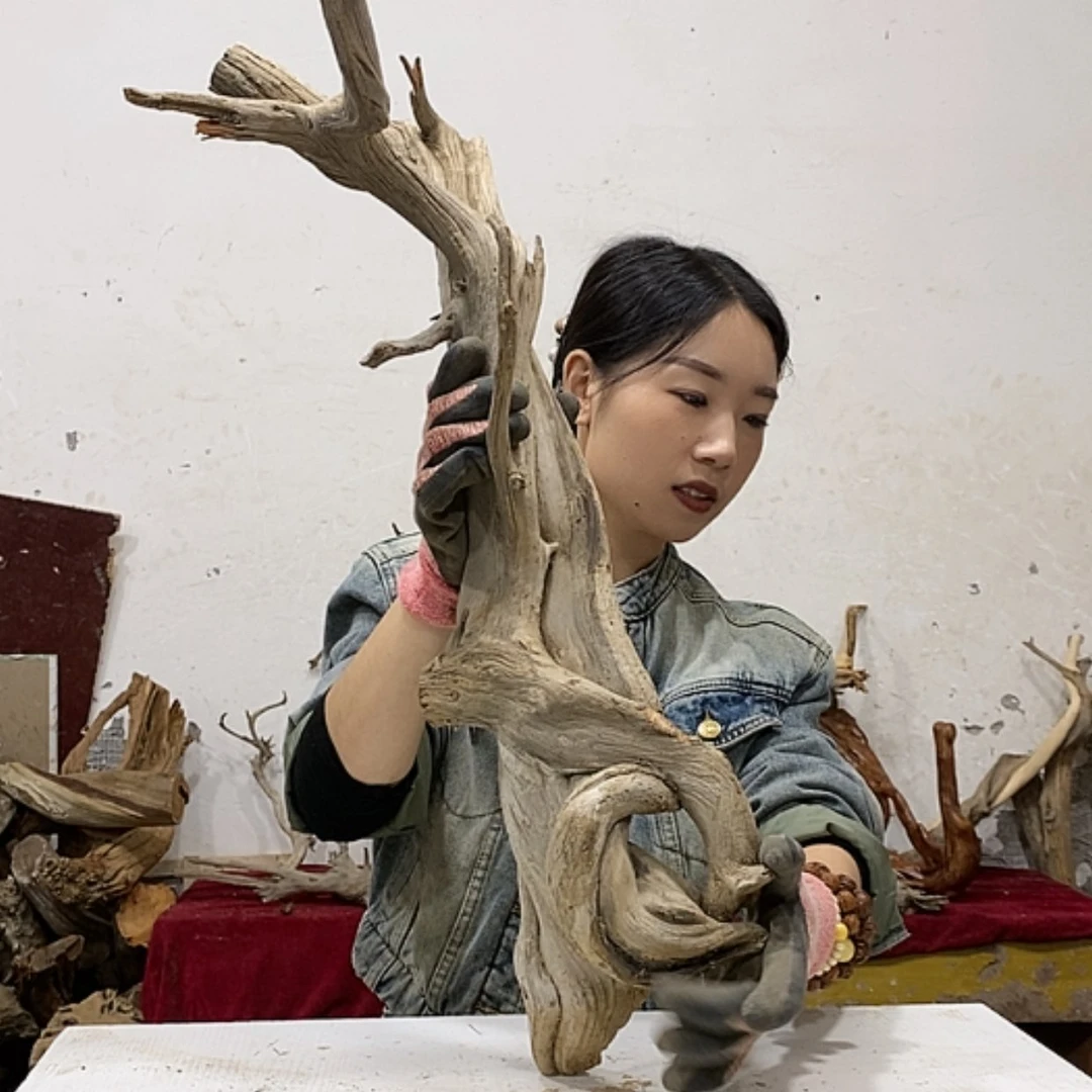 【闪购商品】柏木D*我们都是好孩子