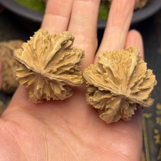 文玩核桃把件秦岭核桃22