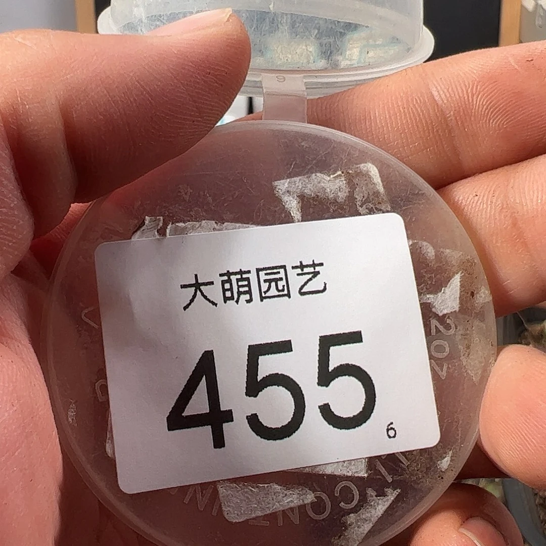 内****）0000455 一物一拍……