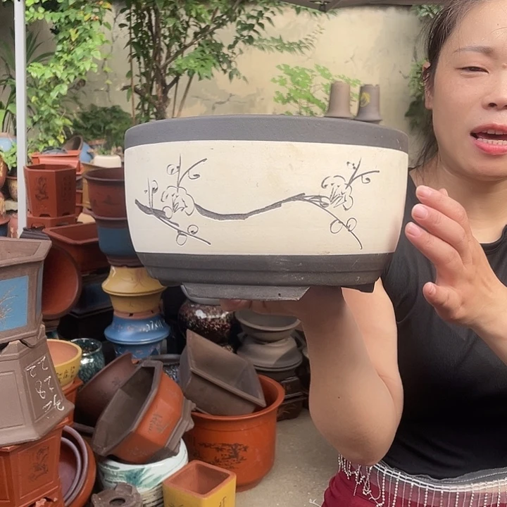 白色绿萝小花盆紫砂花盆紫砂