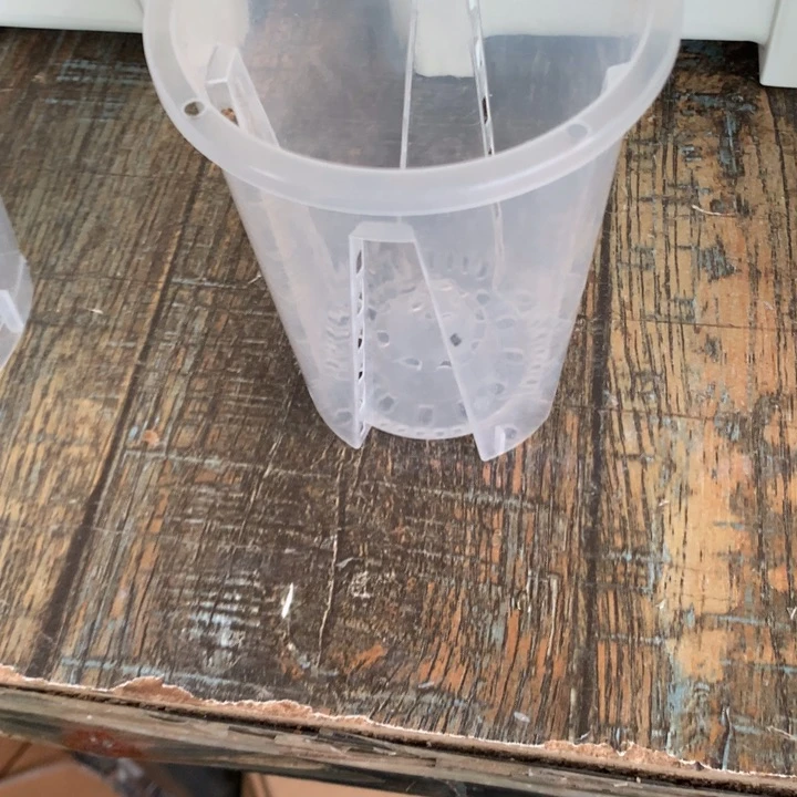 ?****?10口透明盆10个