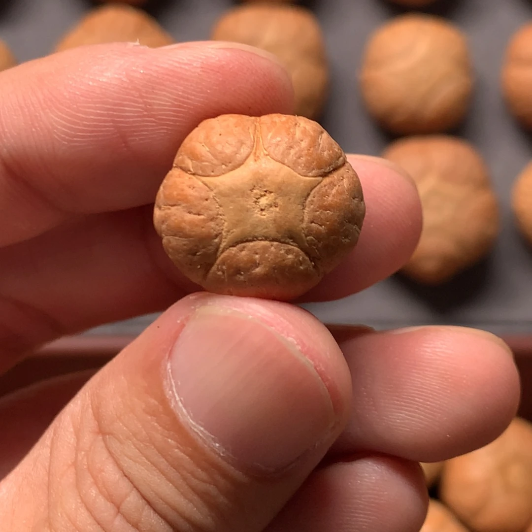 用***6吊坠凤眼菩提18mm尼泊尔麒麟，打孔不退换